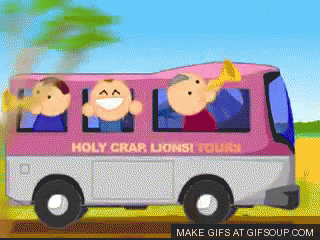 Holy crap lions!